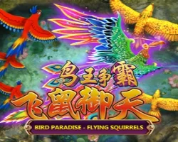 Bird Paradise — Joker Gaming ဂိမ်း | MDL97